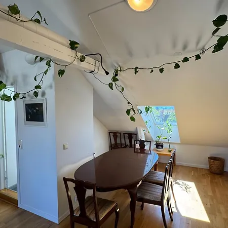 Spacious Loft In Trendy Area