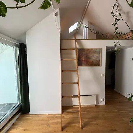 Apartment Spacious Loft In Trendy Area Oslo