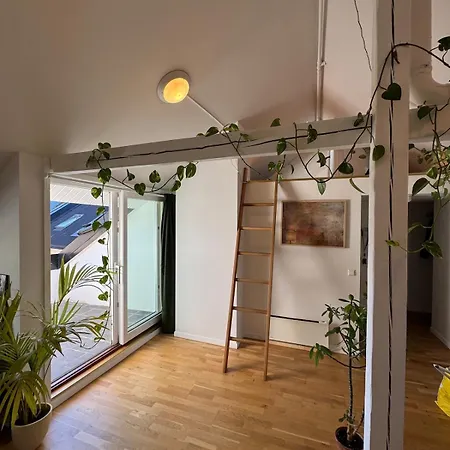 Spacious Loft In Trendy Area Apartment