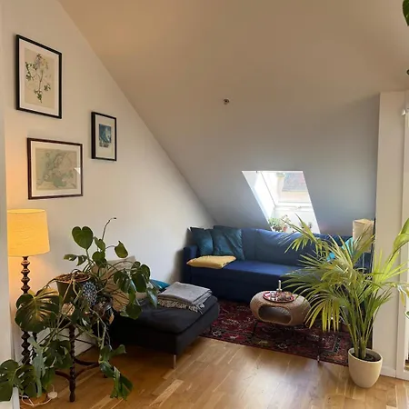 Spacious Loft In Trendy Area Apartment Oslo