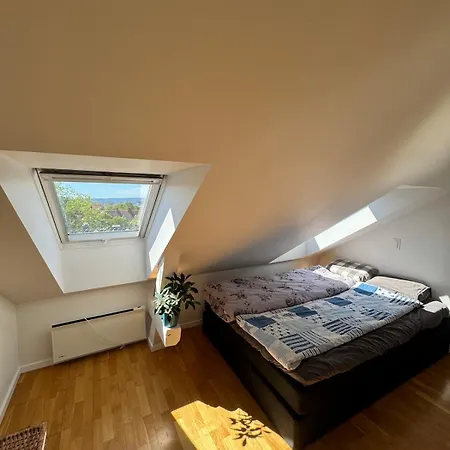 Apartment Spacious Loft In Trendy Area