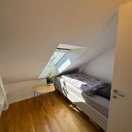 Spacious Loft In Trendy Area * Oslo
