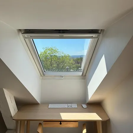 Spacious Loft In Trendy Area