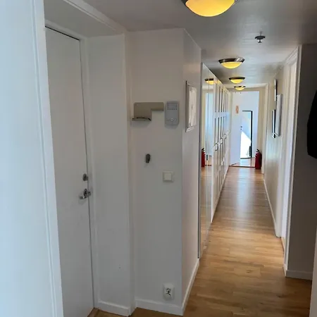 Spacious Loft In Trendy Area