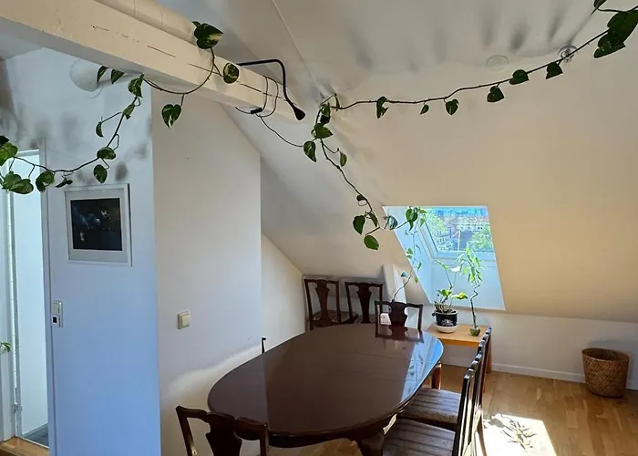 Spacious Loft In Trendy Area