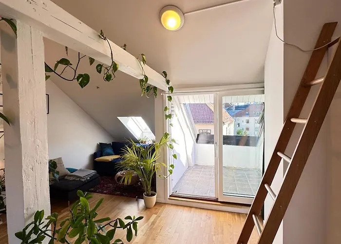 Spacious Loft In Trendy Area Leilighet Oslo