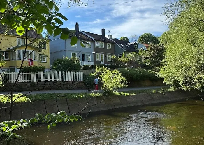 Spacious Loft In Trendy Area