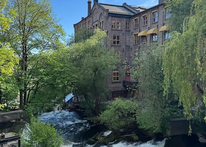 Spacious Loft In Trendy Area