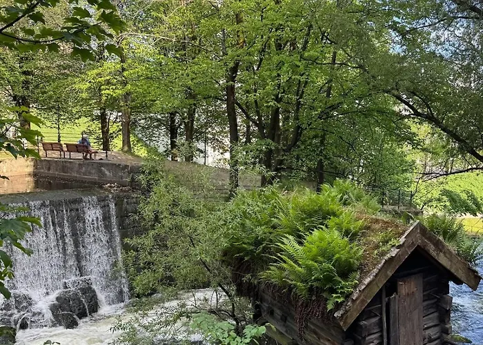 Spacious Loft In Trendy Area *