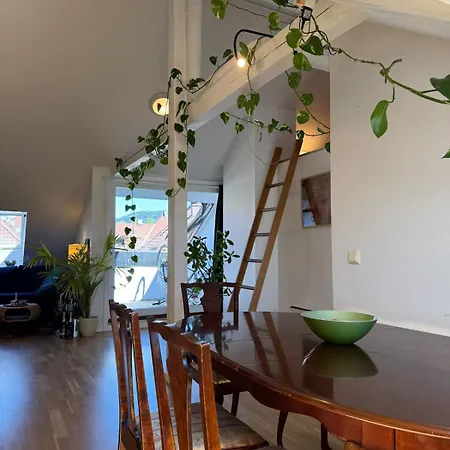 Spacious Loft In Trendy Area * Oslo