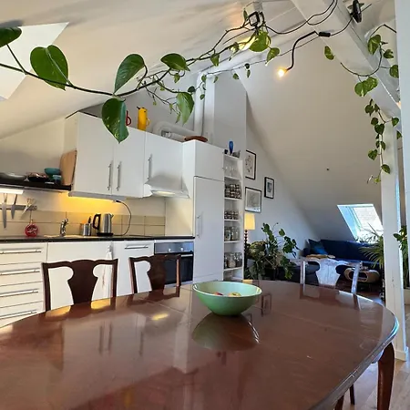 Spacious Loft In Trendy Area Leilighet